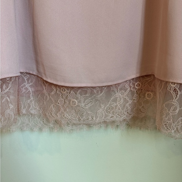 NWOT Cynthia Rowley blush pink lace peek a boo camisole/tank top size M - Picture 6 of 12